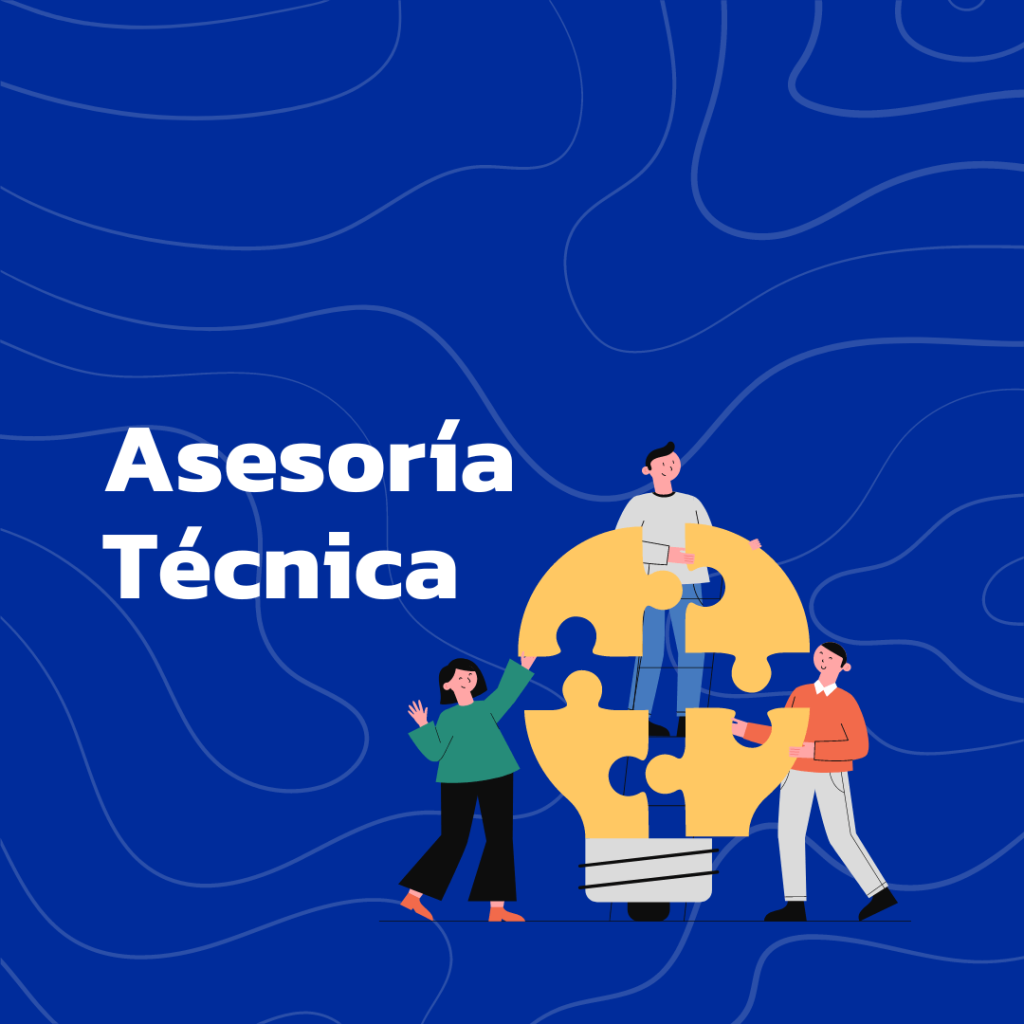 Servicio de Asesoría técnica